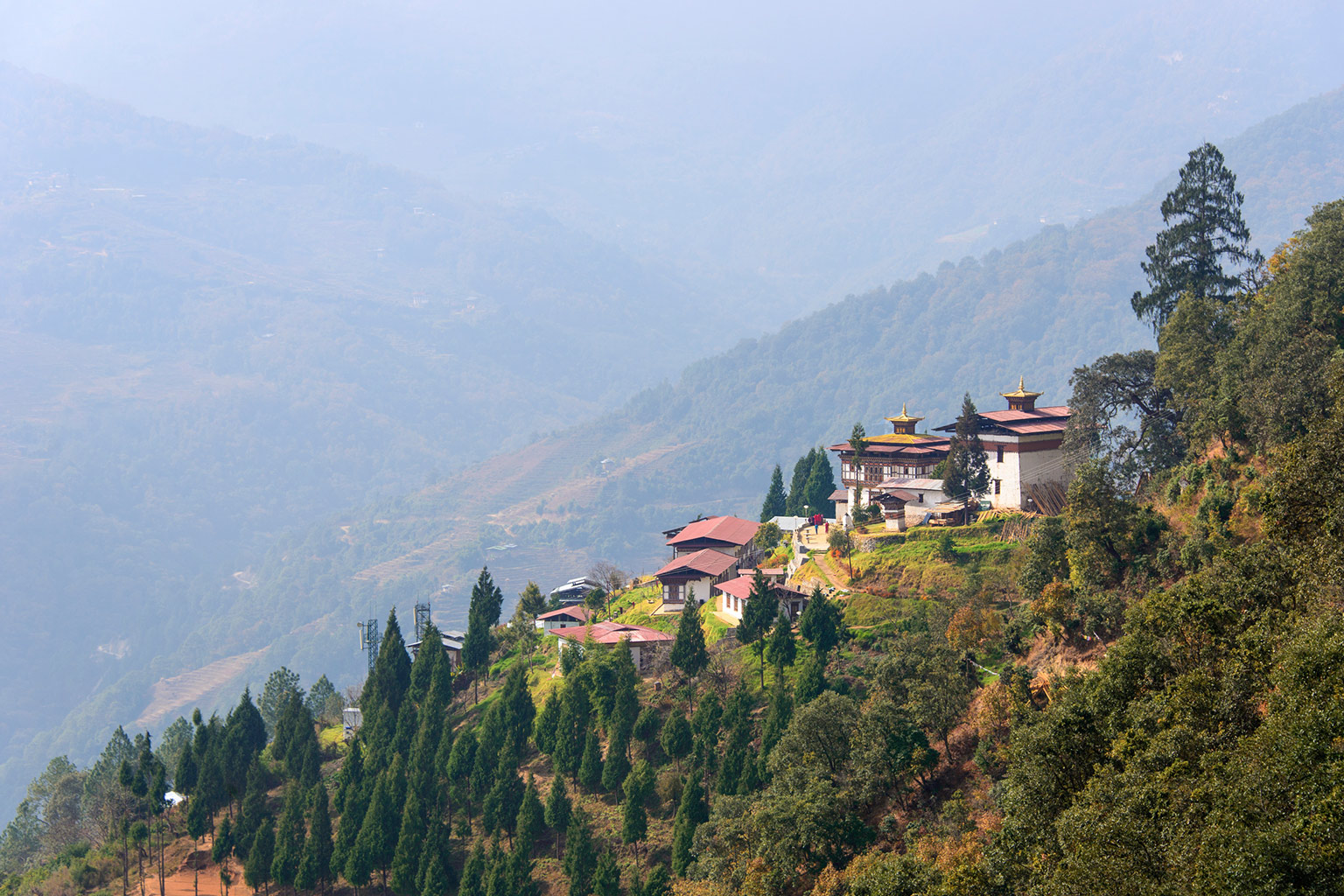 Amankora