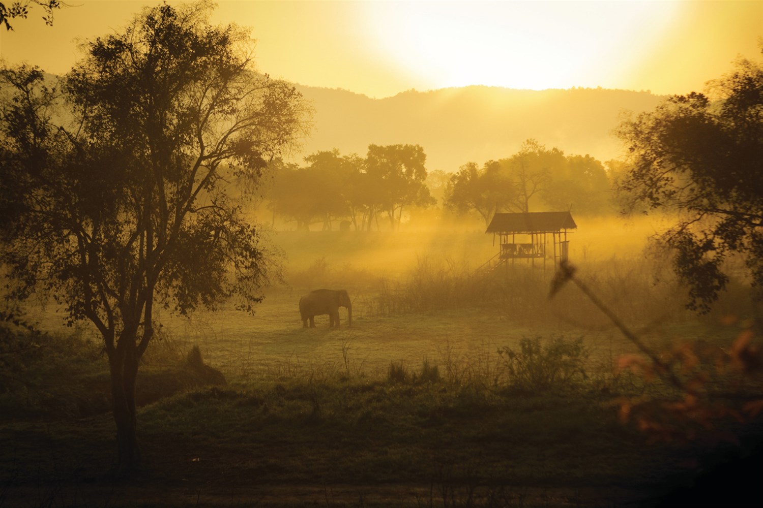 Four Seasons Tented Camp Golden Triangle