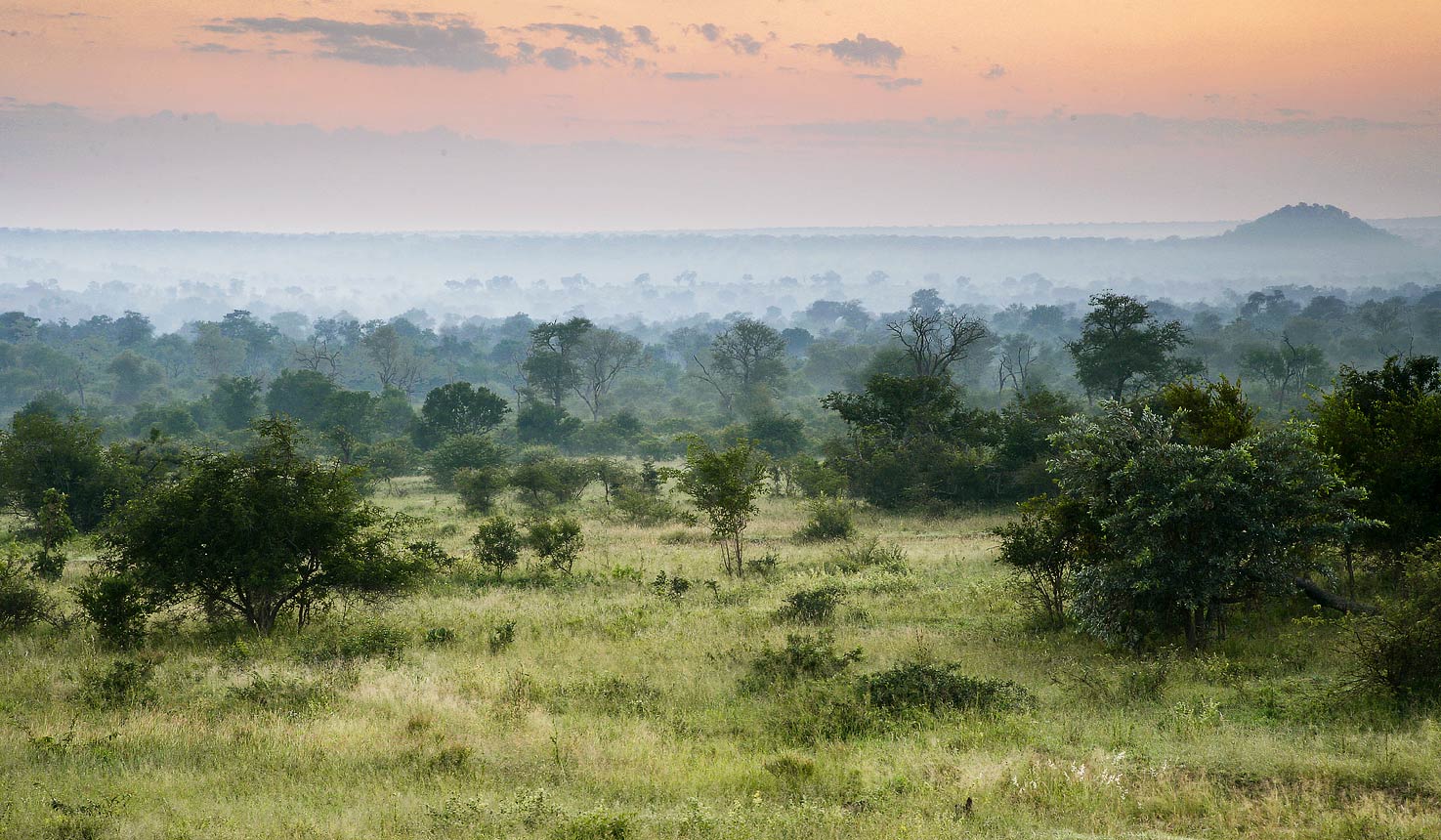 Londolozi