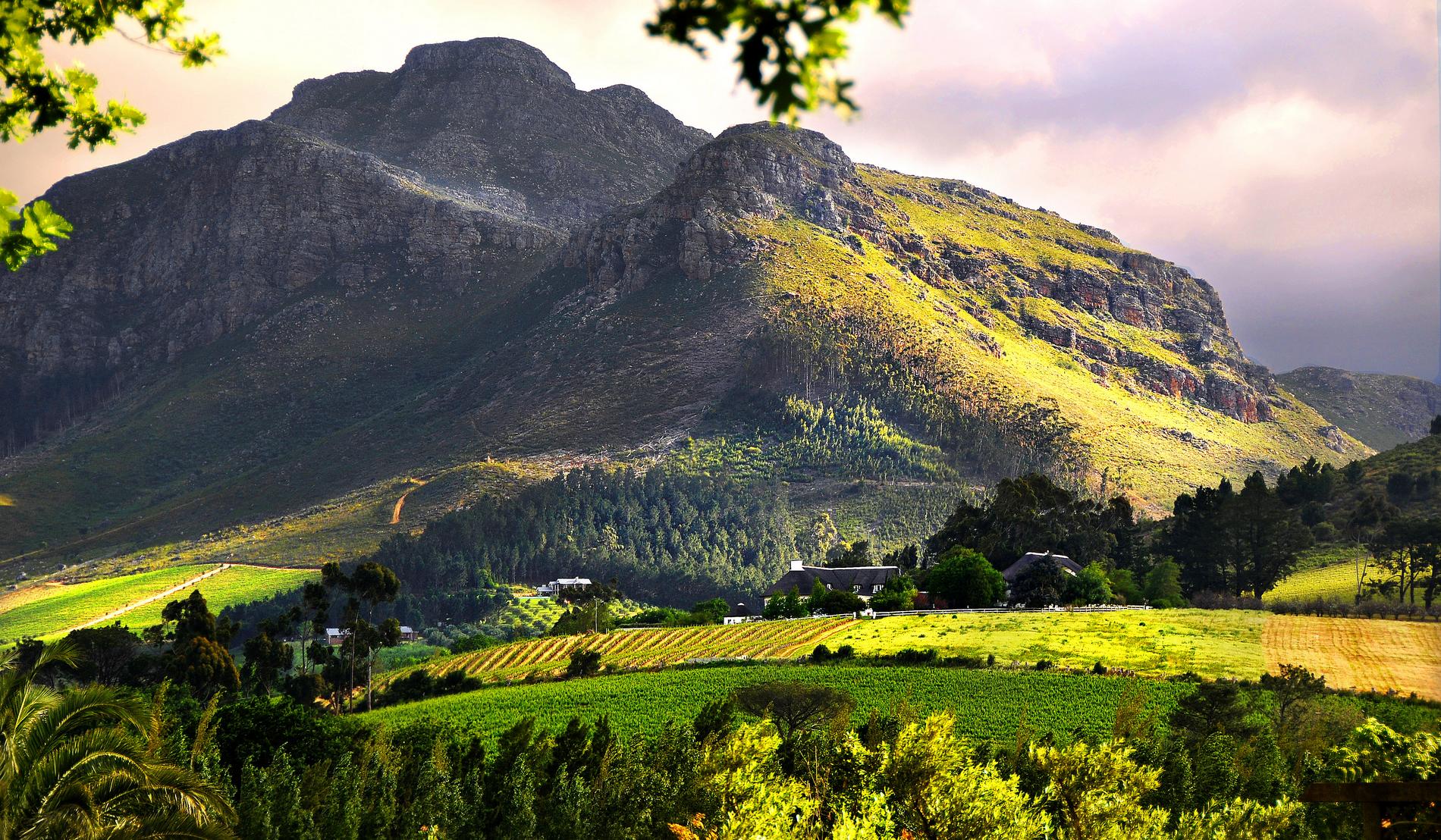 Mont Rochelle