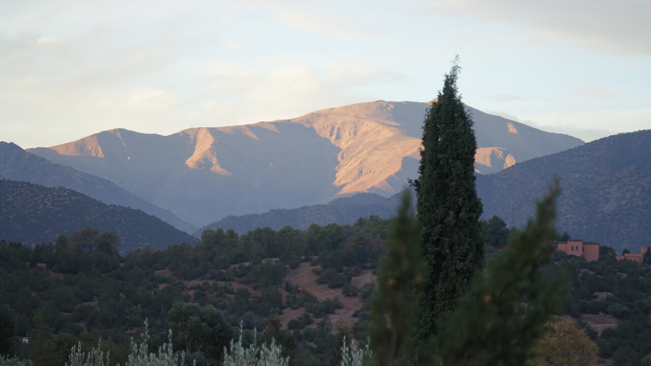 Olinto