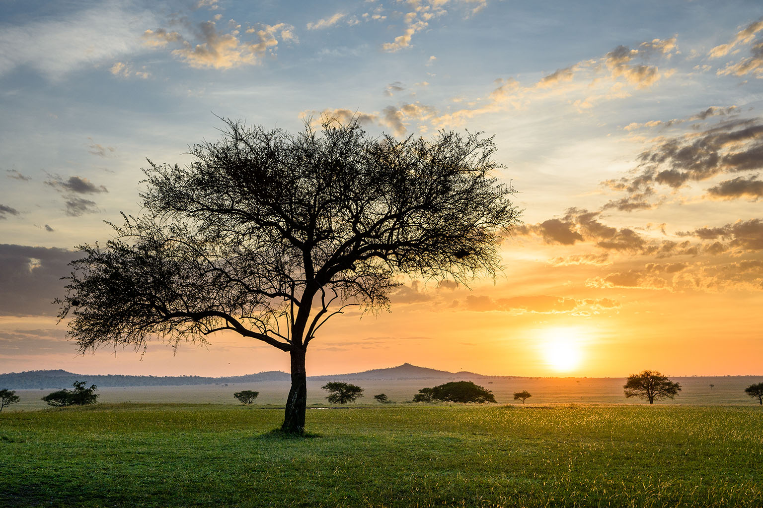 Singita Sabora Tented Camp