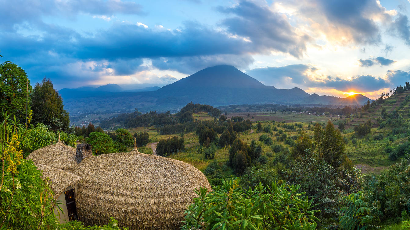 Wilderness Bisate Lodge